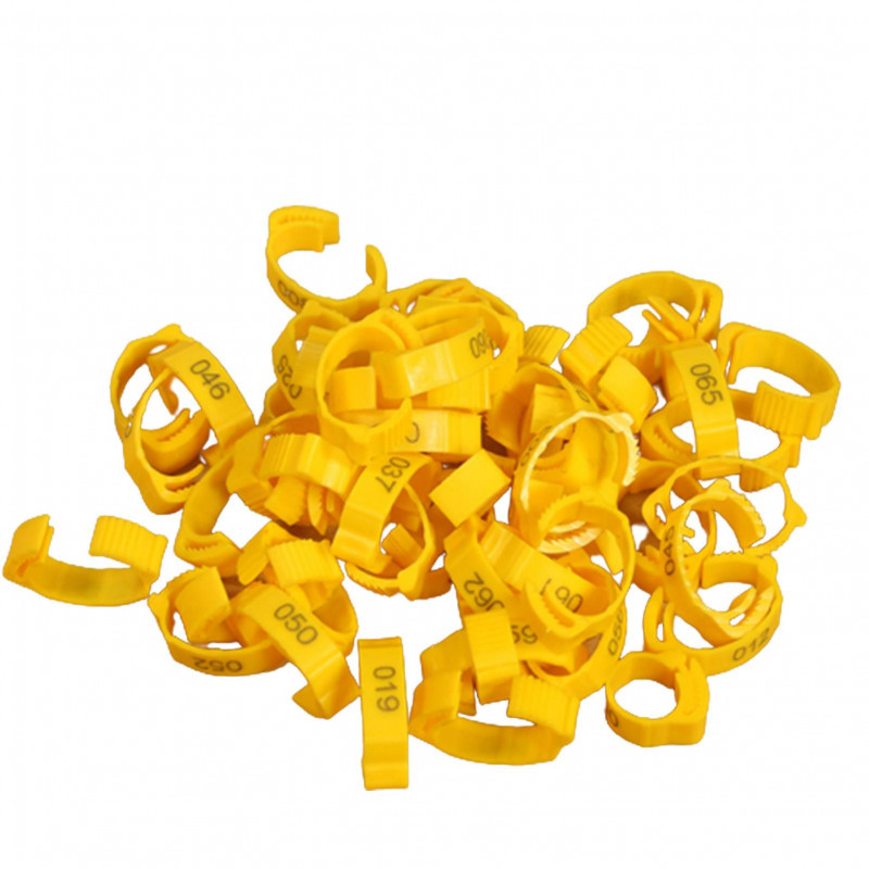 100Pcs Chicken Ring Adjustable Buckle Design Easy-assembled Foot Ring for Marking