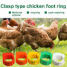 100Pcs Chicken Ring Adjustable Buckle Design Easy-assembled Foot Ring for Marking