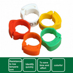 100Pcs Chicken Ring Adjustable Buckle Design Easy-assembled Foot Ring for Marking