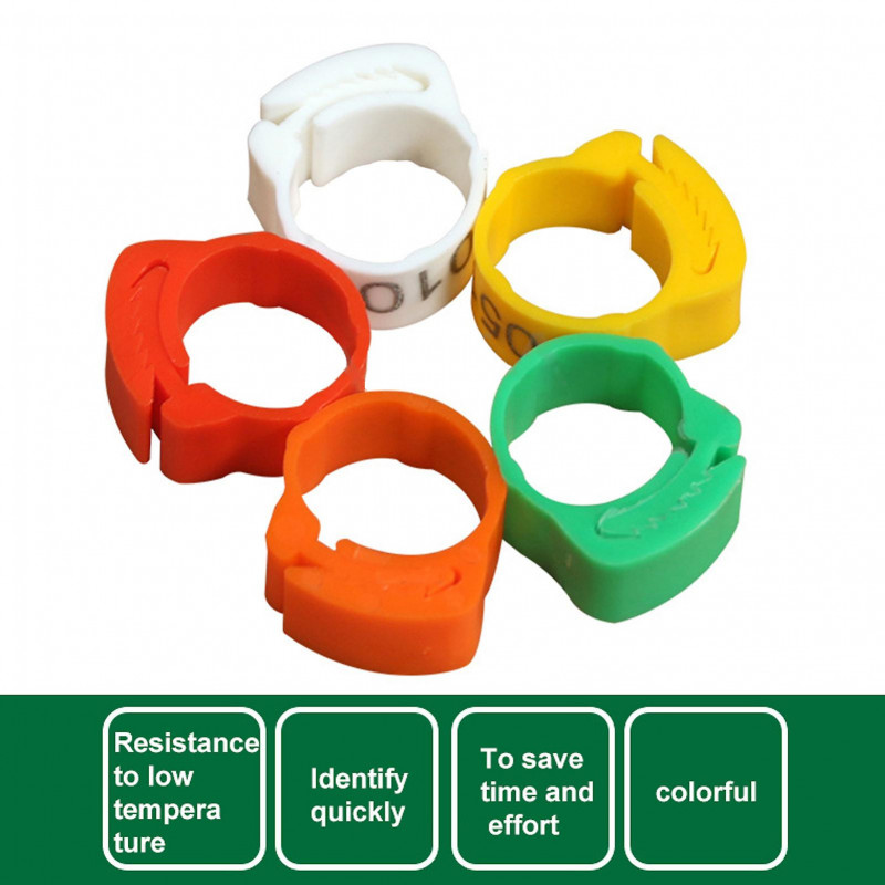 100Pcs Chicken Ring Adjustable Buckle Design Easy-assembled Foot Ring for Marking