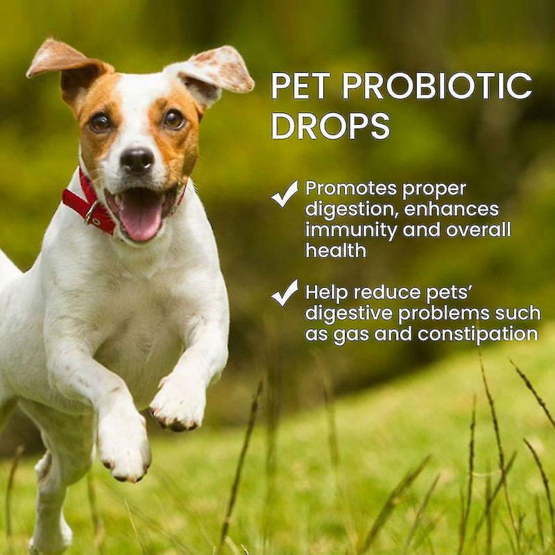 Probiotiques de qualité supérieure pour chiens Chats, supplément de prébiotiques d’enzymes digestives pour animaux [...]