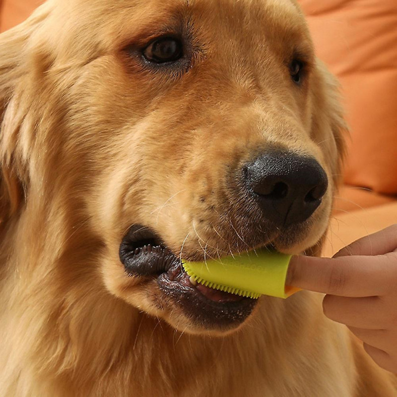 Handheld Finger Pet Toothbrush Anti-inflammatory Refreshing Oral Brush For Pet Dog Cat