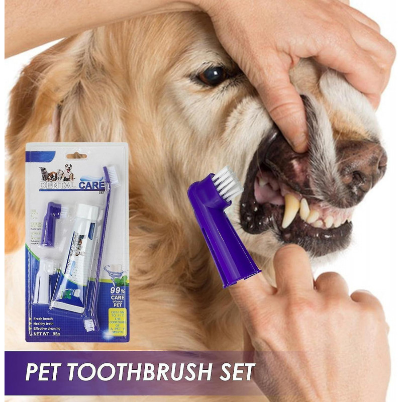 Dog Toothbrushes And Toothpaste, Fresh Breath Oral Hygiene Kit For Pets, Dog Toothpaste, Dental Care Kit For Puppies