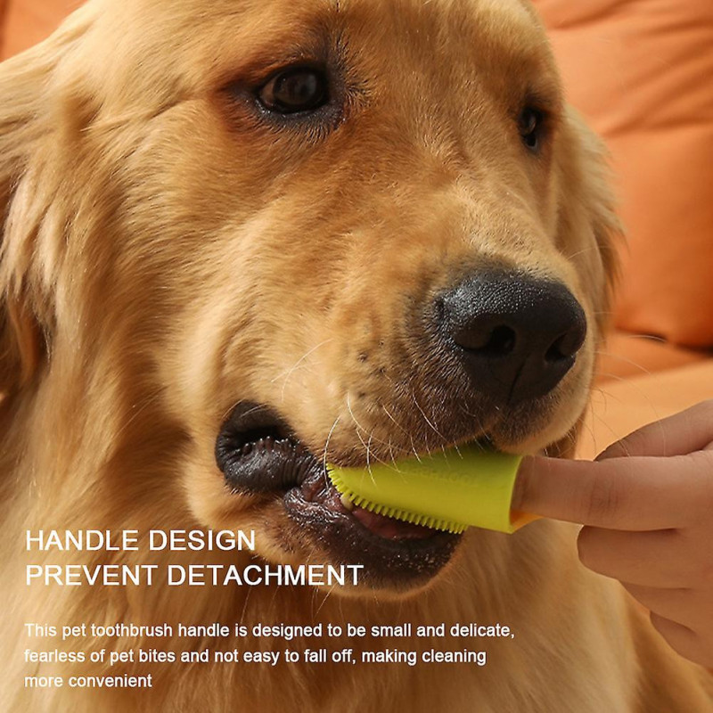 Mulit Colored Pet Toothbrushes with Handle Easy Cleaning Pet Teeth Cleaning Tool Pet Supply