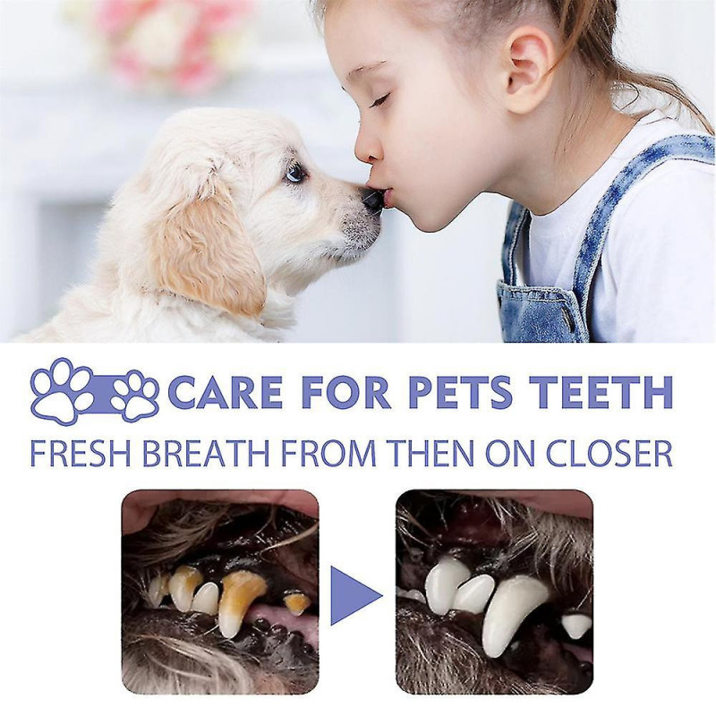 1-3pcs Teeth Cleaning Spray For Dogs & Cats Pet Oral Bad Breath Plaque Remover Spray G 1-3pcs Teeth Cleaning Spray For Dogs & Cats Pet Oral Bad Breath Plaque Remover Spray G