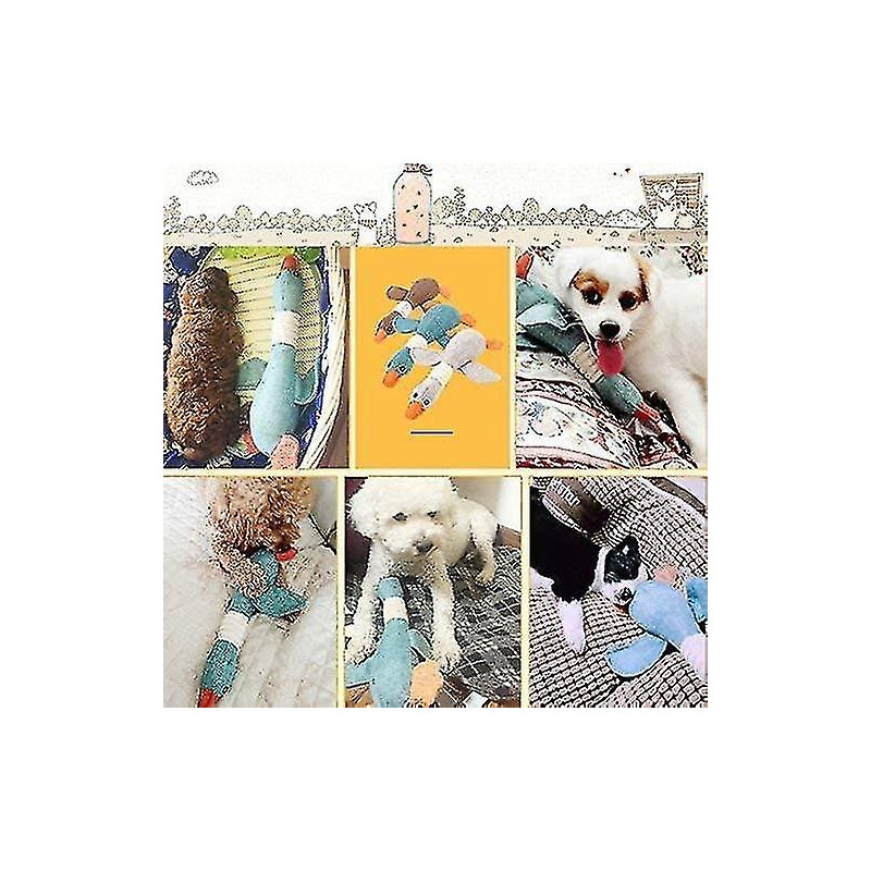 Jouets Pour Chiens Pour Mcheurs Agressifs Forts Indestructible Petite