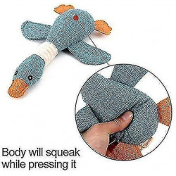 Jouets Pour Chiens Pour Mcheurs Agressifs Forts Indestructible Petite