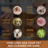 Nettoyant pour oreilles pour animaux de compagnie Gouttes vétérinaires pour chiens Traitement de l’infection des [...]
