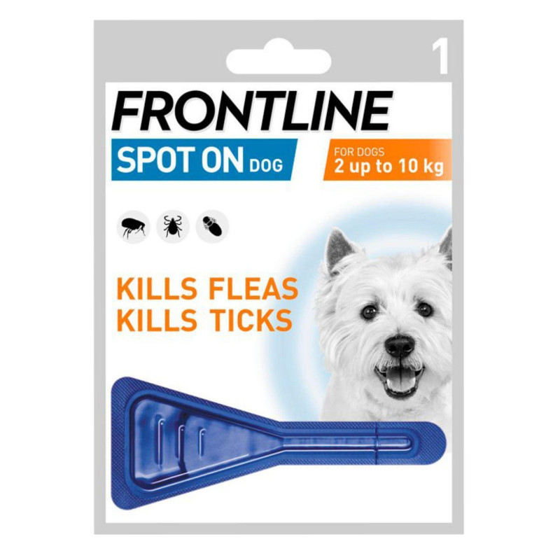 Première place sur pour les petits chiens 1x