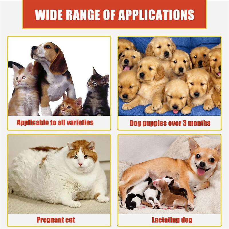 3pcs Pet Wound Care Poudre Plaie Et Soins De La Peau Pour Chat Et Chien Combat Les Infections