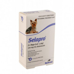 Selapro® Spot sur Petit Chien 3pk