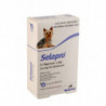 Selapro® Spot sur Petit Chien 3pk