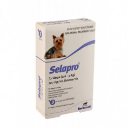 Selapro® Spot sur Petit Chien 3pk