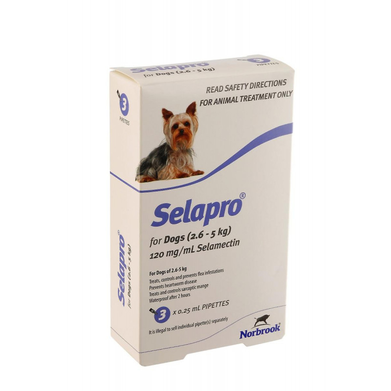 Selapro® Spot sur Petit Chien 3pk