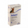 Selapro® Spot sur Petit Chien 3pk