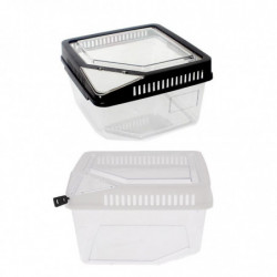 Set 2 Reptile Lizard Spider Beetle Scorpion Vivarium Terrarium Rearing Box