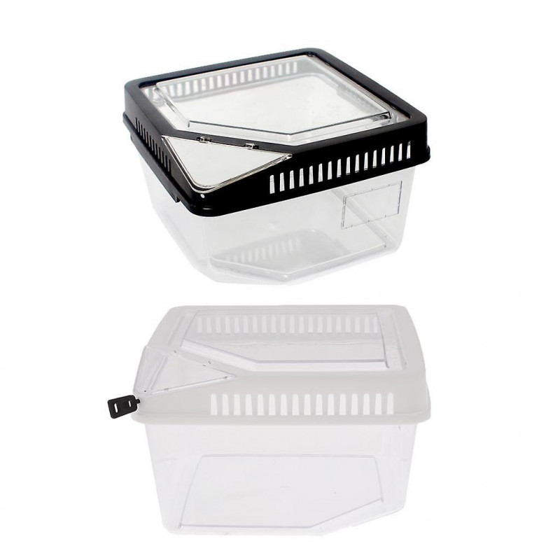 Set 2 Reptile Lizard Spider Beetle Scorpion Vivarium Terrarium Rearing Box