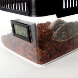Set 2 Reptile Lizard Spider Beetle Scorpion Vivarium Terrarium Rearing Box
