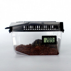 Set 2 Reptile Lizard Spider Beetle Scorpion Vivarium Terrarium Rearing Box