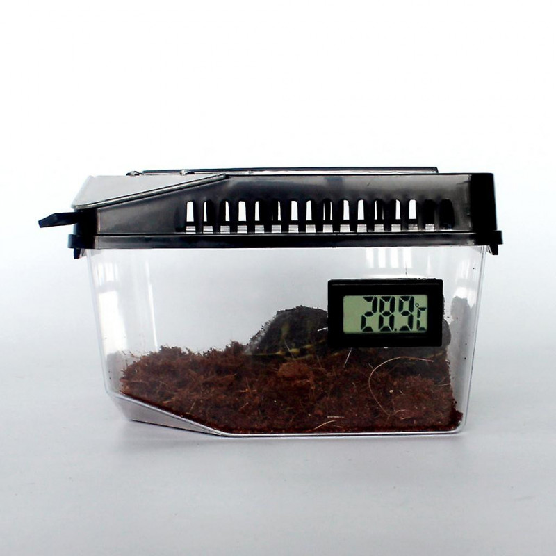 Set 2 Reptile Lizard Spider Beetle Scorpion Vivarium Terrarium Rearing Box