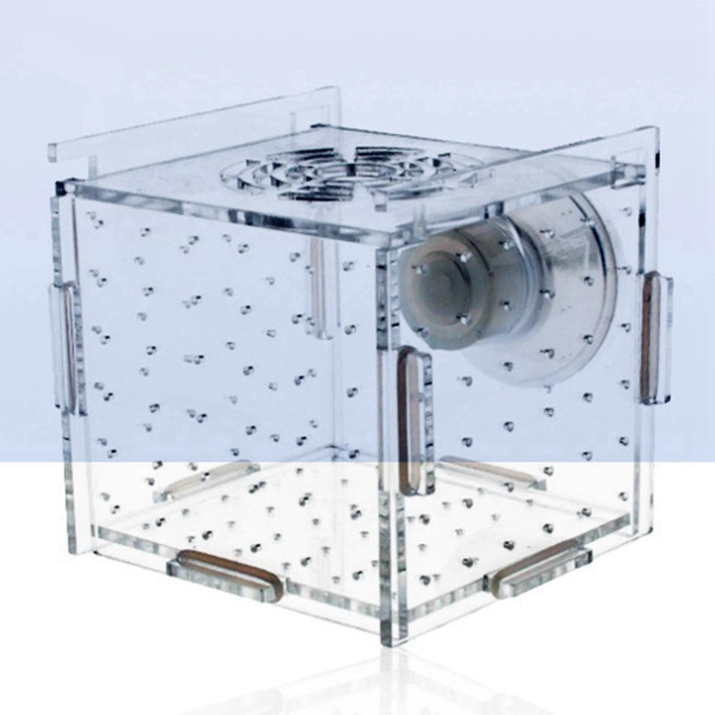 Fish Breeder Box Aquarium Accessory Transparent Fish Isolation Breeding Box Hatching Incubator Box for Aggressive Fish