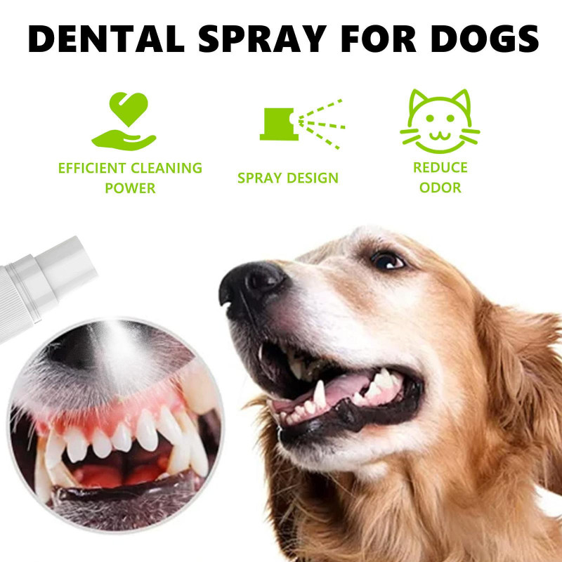 Fresh Breath Oral Care Spray for Dogs & CatsMint Breath Freshener Pet Bad Breath Treatment