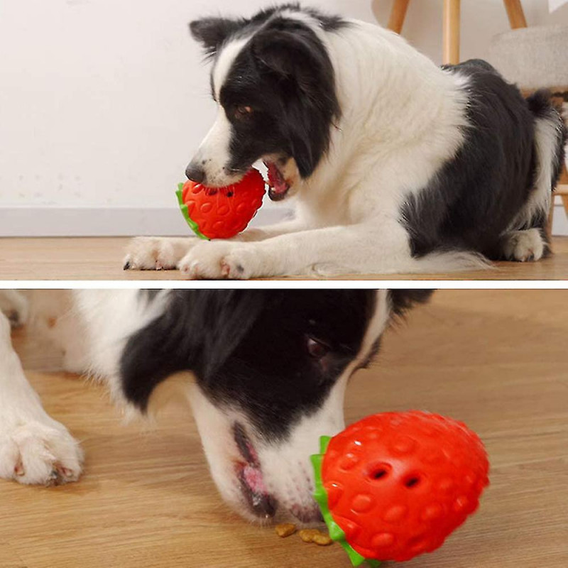 Brosse à dents pour chien Mâcher Jouet, Jouet à mâcher pour chien, Jouet dentaire de nettoyage des dents de chien