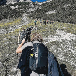 Walking Pedometer,3d Pedometer With Clip,activity Tracker,fitness Tracker