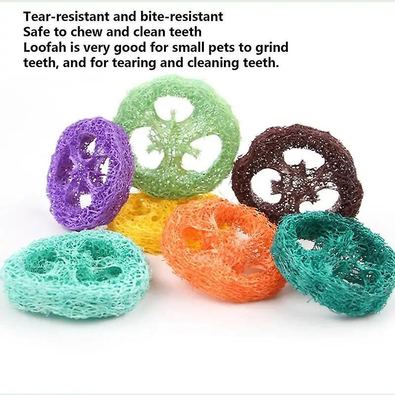 Loofah jouets à mâcher petits animaux de compagnie broyage de dents accessoires d’exercice cochon d’Inde jouets [...]