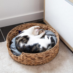 UNUS® Hundebett rund mit Kissen Hundekorb Hundekörbchen Hunde und Katzen