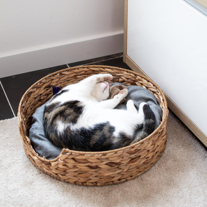 UNUS® Hundebett rund mit Kissen Hundekorb Hundekörbchen Hunde und Katzen