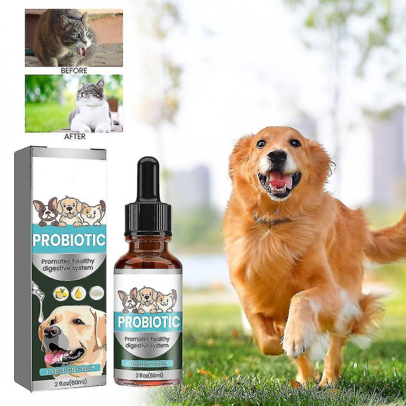 Probiotiques de qualité supérieure pour chiens Chats, supplément de prébiotiques d’enzymes digestives pour animaux [...]