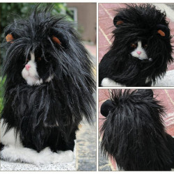 Chiens Casque Perruque Chapeau Pet Chien Chat Casque Chats Costume Lion Tête Costume Perruque Personnalisée [...]