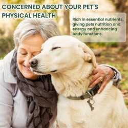 Gouttes probiotiques pour animaux de compagnie pour le soulagement de l’inconfort physique Mauvaise haleine orale [...]