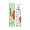 2024 Nouveau Fruit Fresh Breath Spray Désodorisant Oral Aromatisé Aux Fruits Compact Portable Rafraîchissant [...]