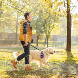 2 Pieces Dog Treats Bag Pet Poop Treat Bag Holder Dog Poop Treat Bag Dispenser Outdoor Holder Carrier Dog Waste [...]