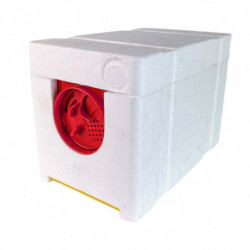 Reine Abeille Reproduction Boîte Abeille Ruches Apiculteur Apiculteur Outil Élevage Boîte Rouge Porte