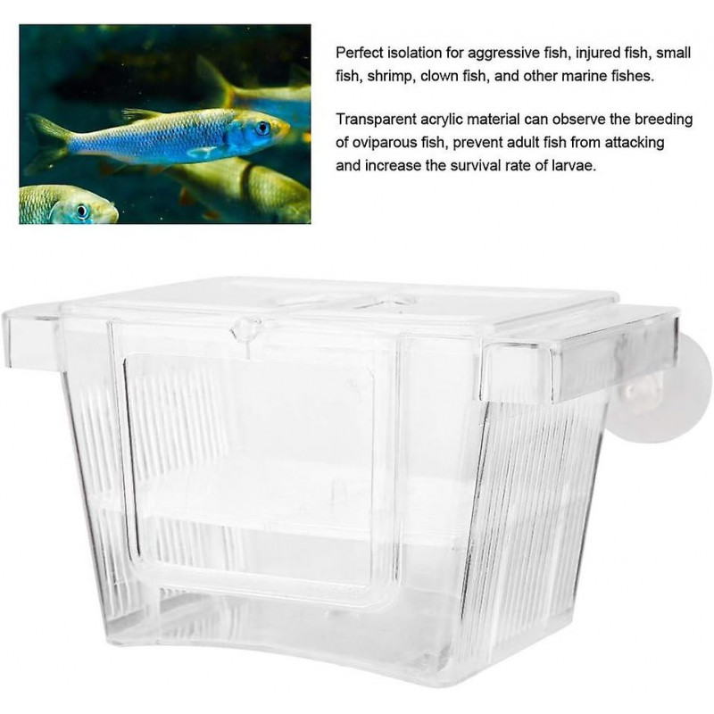 Acrylic Fish Breeding Box, Fish Breeding Box, Protect Baby Fish Hatch