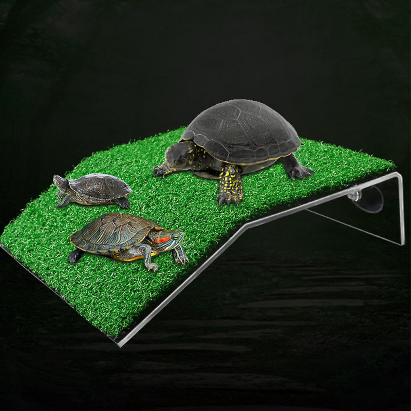 Fish for Tank Suction Cup Tortoise Climbing Platform Rest for Turtle Basking Pla