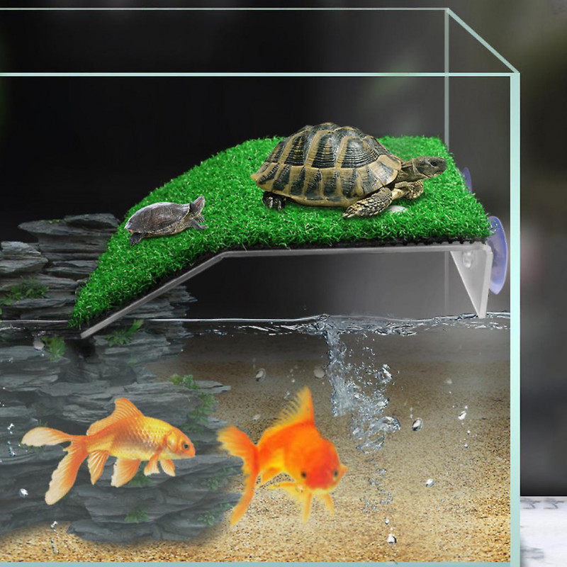 Fish for Tank Suction Cup Tortoise Climbing Platform Rest for Turtle Basking Pla