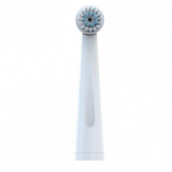 Hmj-r02 Oral Hygiene Rotary Electric Toothbrush