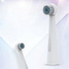 Hmj-r02 Oral Hygiene Rotary Electric Toothbrush