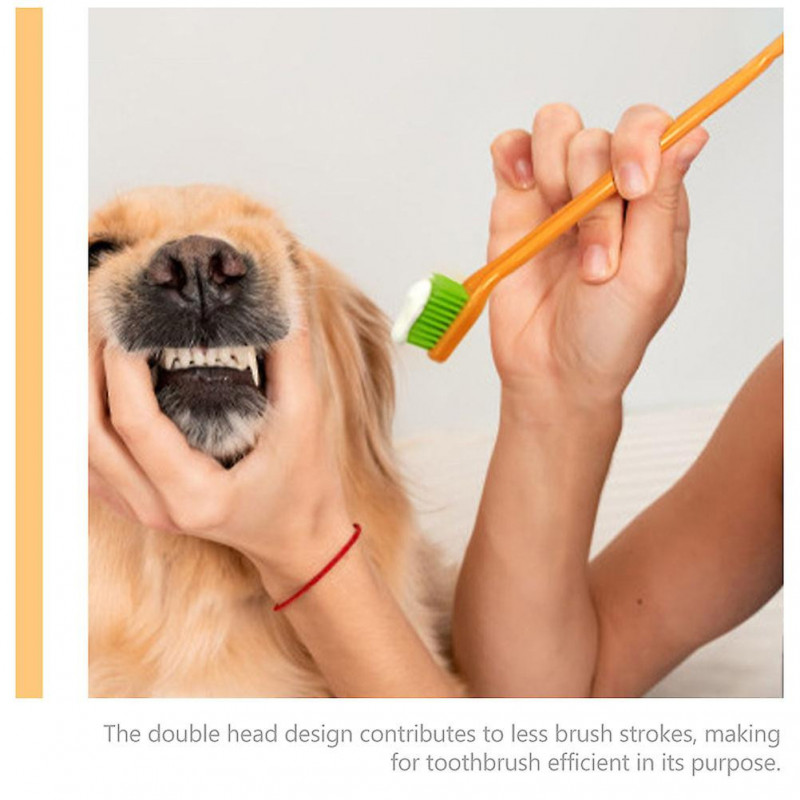 Nettoyage des brosses à dents Usage domestique Brosse à dents pour petit chien Brosse à dents pour chien Brosse à [...]