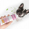 Pet Toothpaste Dog Toothbrush Dog Oral Care Dog Toothpaste And Toothbrush