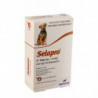 Selapro® Spot sur Grand Chien 3pk
