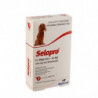 Selapro® Spot sur Grand Chien 3pk
