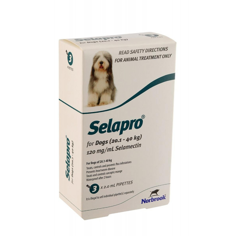 Selapro® Spot sur Grand Chien 3pk
