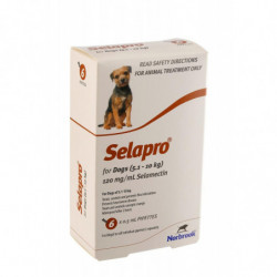 Selapro® Spot sur Grand Chien 6pk