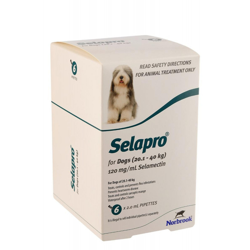 Selapro® Spot sur Grand Chien 6pk