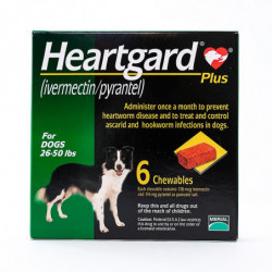 Comprimés à croquer pour les chiens 26-50lbs(12-22kg), Pack 6 HEARTGARD Plus (vert) Comprimés à croquer pour les chiens 26-50lbs(12-22kg), Pack 6 HEARTGARD Plus (vert)